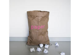 Paper bag 01 qu