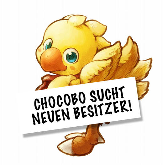 Final fantasy fables  chocobo tales 2 art 1
