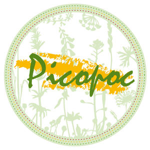 Picopoc logo 3