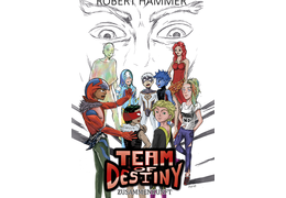 Team of destiny zusammenkunft cover