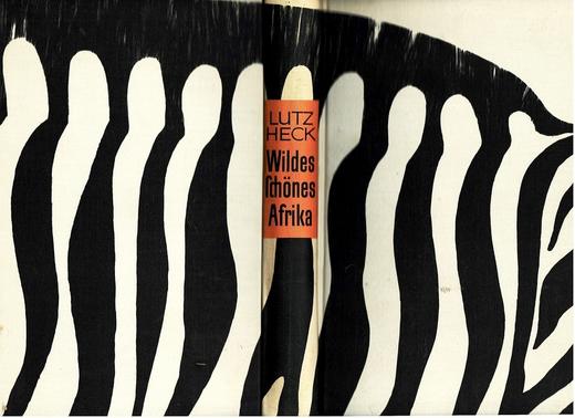 Buch wildes afrika 1