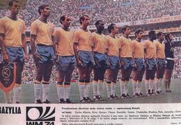 Brasilien wm 74
