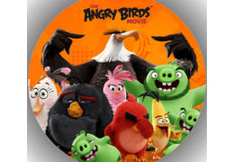 Angry birds n2