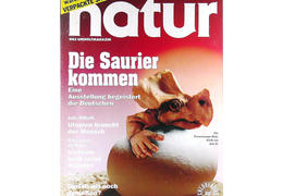 Natur 5 1991