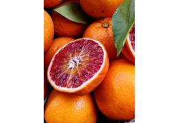 Orangenbaum blutorange citr taro 2263 1
