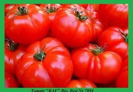7894  tomate raf 