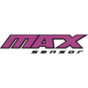 Max logo purple