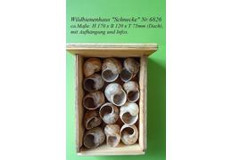 6826 wildbienenhaus schnecke