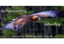 Adlerflug 2019 front1