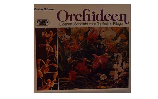 5781 orchideen 