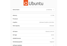 Ansicht ubuntu version speicher